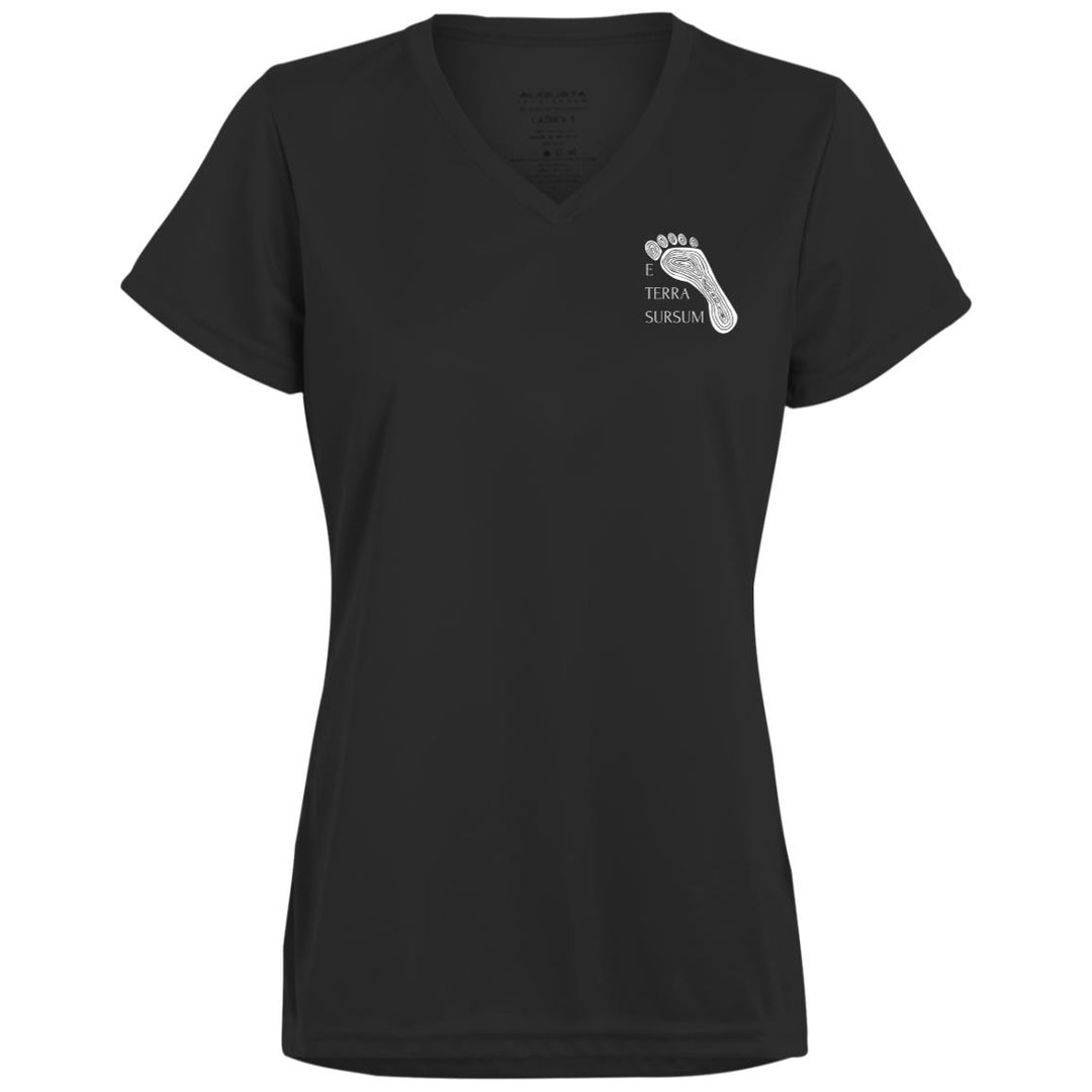 Ladies’ Moisture-Wicking V-Neck Tee