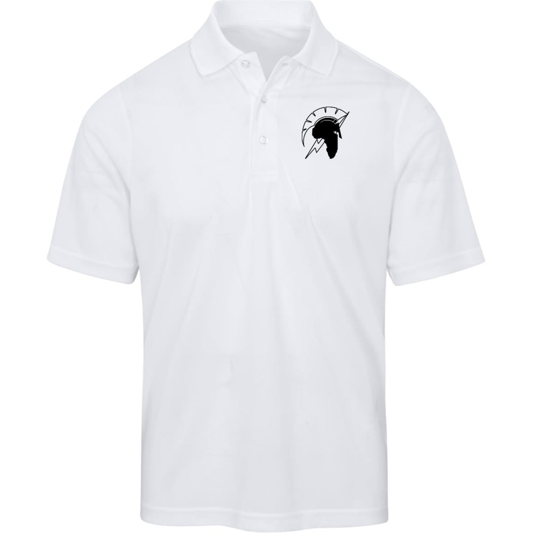 Micro-Mesh Polo