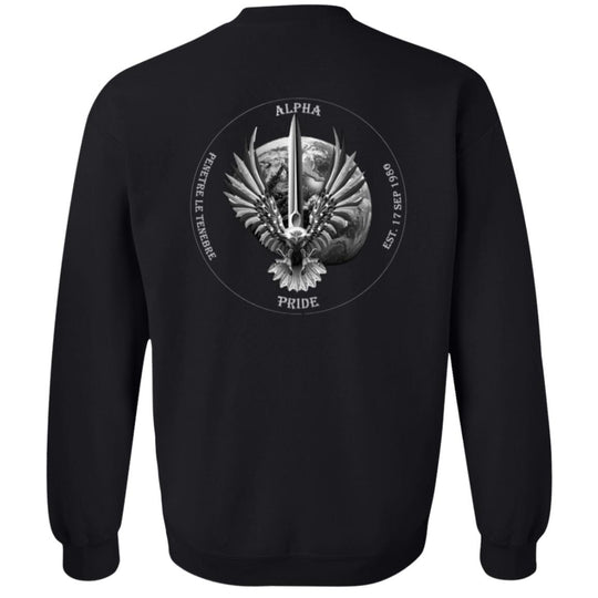Crewneck Pullover Sweatshirt