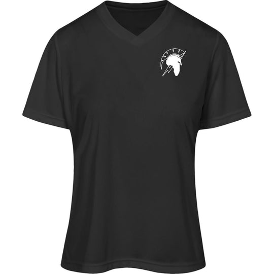 Ladies’ Moisture-Wicking V-Neck Tee