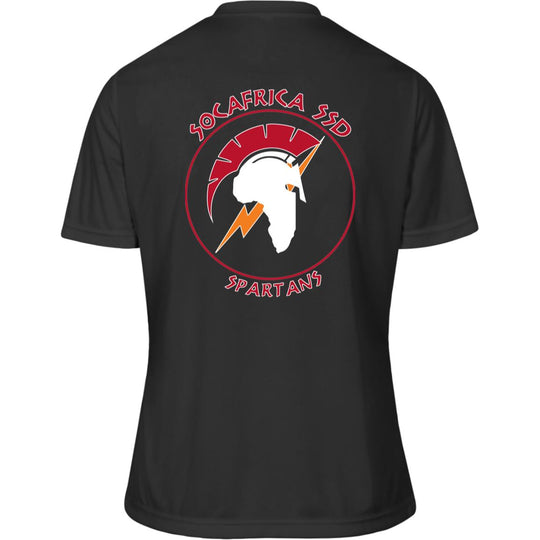 Ladies’ Moisture-Wicking V-Neck Tee